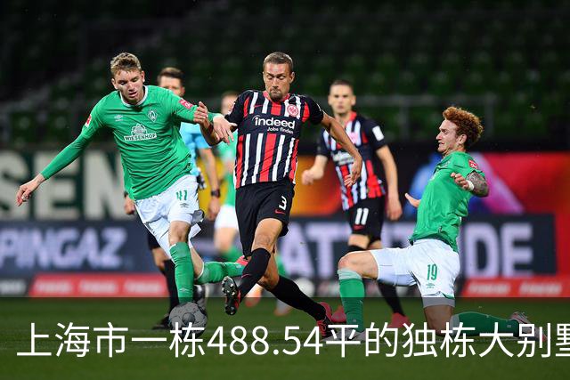 上海市一栋488.54平的独栋大别墅拍卖，被人1848万竞得了