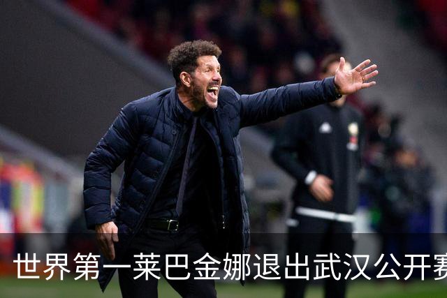 世界第一莱巴金娜退出武汉公开赛：抱歉让球迷失望，我会花时间恢复