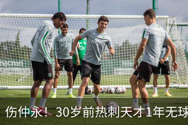 伤仲永！30岁前热刺天才1年无球可踢：业余队训练 巅峰身价1亿