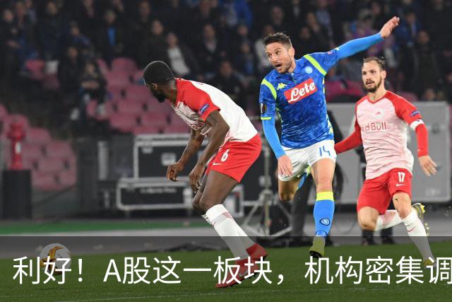 利好！A股这一板块，机构密集调研