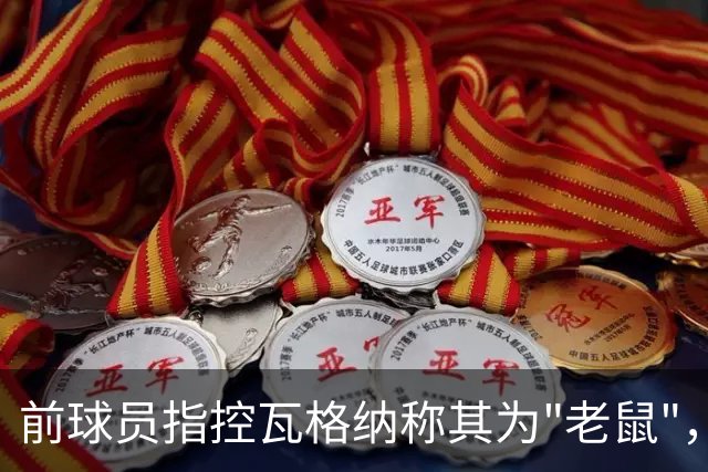 前球员指控瓦格纳称其为"老鼠"，瓦格纳将执教汉诺威96