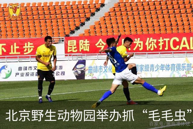 北京野生动物园举办抓“毛毛虫”大赛，两天抓了21斤、7万条