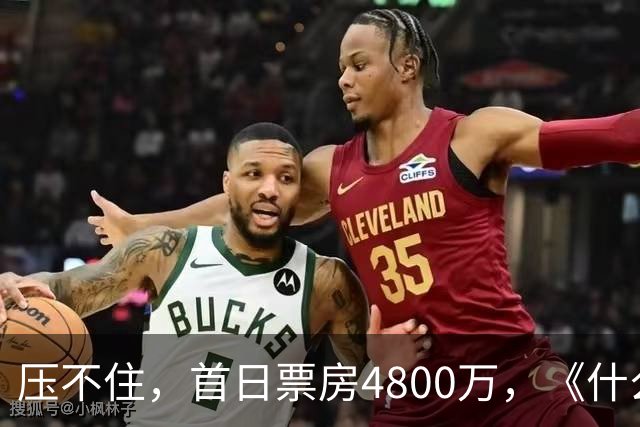 压不住，首日票房4800万，《什么意思夫妇》走高，小沈阳赌对了！