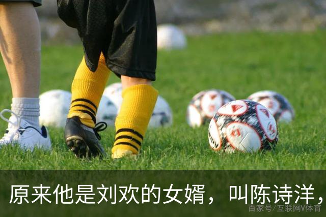 原来他是刘欢的女婿，叫陈诗洋，是哈佛大学建筑学硕士，优秀帅气