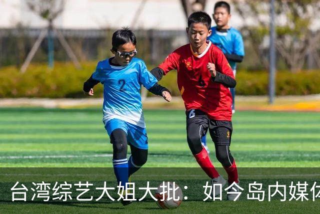 台湾综艺大姐大批：如今岛内媒体基本全绿，挺蓝电视台只剩一两台