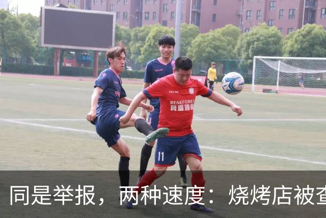 同是举报，两种速度：烧烤店被查15次关门，元青花不能只等来“初步认定”，还是残片？