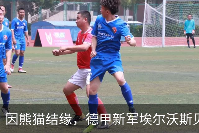 因熊猫结缘，德甲新军埃尔沃斯贝格俱乐部董事会成员：期待与成都开展更多合作