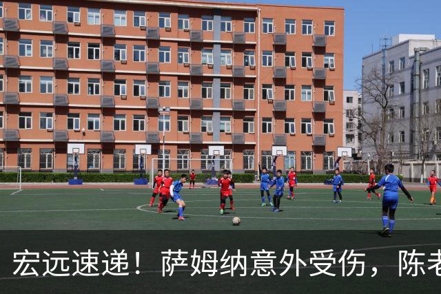 宏远速递！萨姆纳意外受伤，陈老板力劝二飞回归，卢卡一节半轰14分