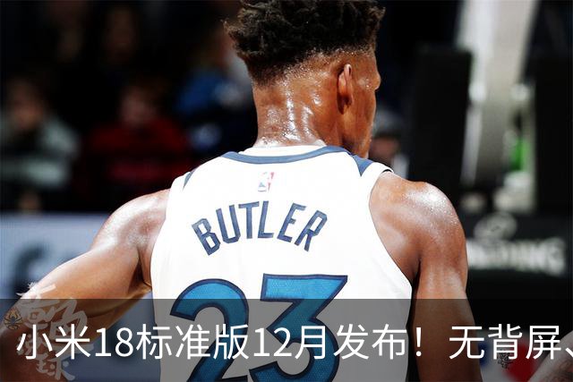 小米18标准版12月发布！无背屏、无防窥屏