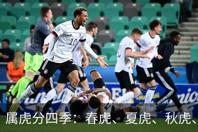 属虎分四季：春虎、夏虎、秋虎、冬虎，哪一类更有福气？