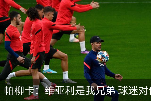 帕柳卡：维亚利是我兄弟 球迷对何塞普·马丁内斯的批评有些过头