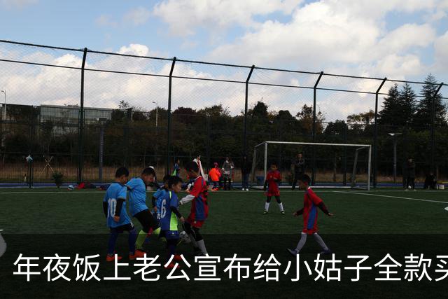年夜饭上老公宣布给小姑子全款买房，婆婆直夸他懂事。我妈冷笑问：你年薪多少？房款多少？我听完，当场收回了陪嫁房钥匙