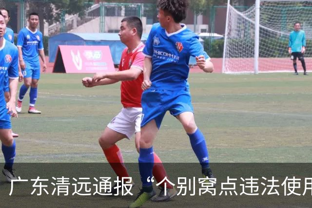 广东清远通报“个别窝点违法使用硫磺熏蒸麻竹笋”：情况属实