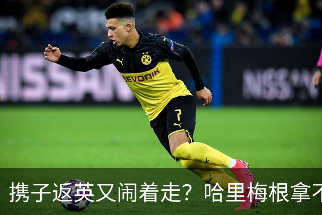 携子返英又闹着走？哈里梅根拿不到免费安保，恐数周内永久逃回美国