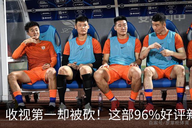 收视第一却被砍！这部96%好评新剧只活了一季