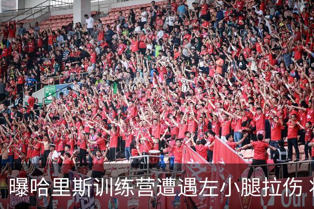 曝哈里斯训练营遭遇左小腿拉伤 将在季前赛结束后进行复查
