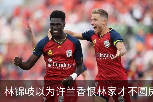 林锦岐以为许兰香恨林家才不圆房，亲妈恶疮瞒病到死才道歉