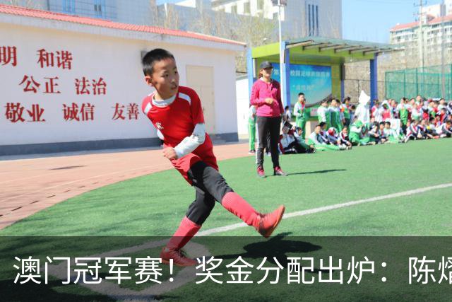 澳门冠军赛！奖金分配出炉：陈熠21万，张本美和43万，蒯曼最低