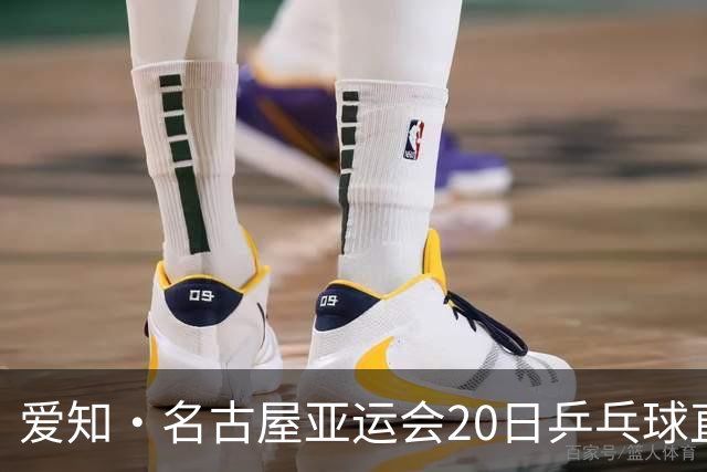 爱知・名古屋亚运会20日乒乓球直播赛程，国乒男女团一日双赛
