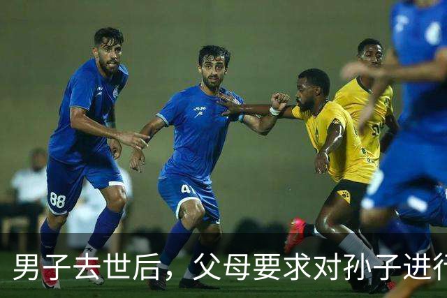 男子去世后，父母要求对孙子进行亲子鉴定，儿媳多次拒绝