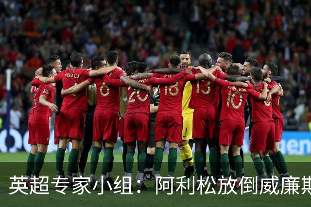 英超专家小组：阿利松放倒威廉斯不应判点，但未达VAR介入标准