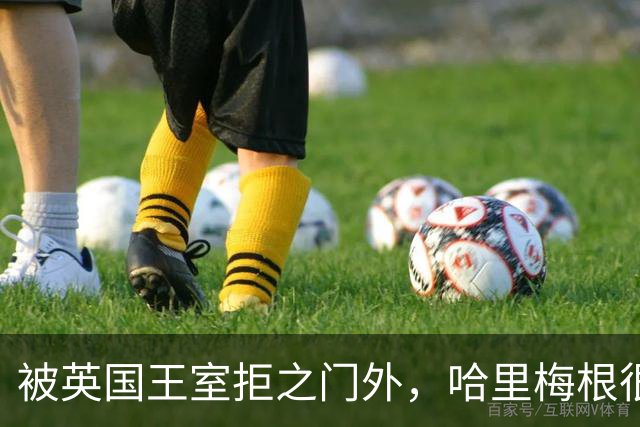 被英国王室拒之门外，哈里梅根很不甘心，在英美两国狂刷存在感