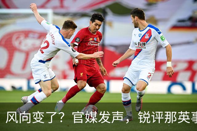 风向变了？官媒发声，锐评那英事件，言辞犀利，句句说到大众心坎
