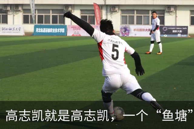 高志凯就是高志凯，一个“鱼塘”比喻，把澳媒主持人的脸打肿了