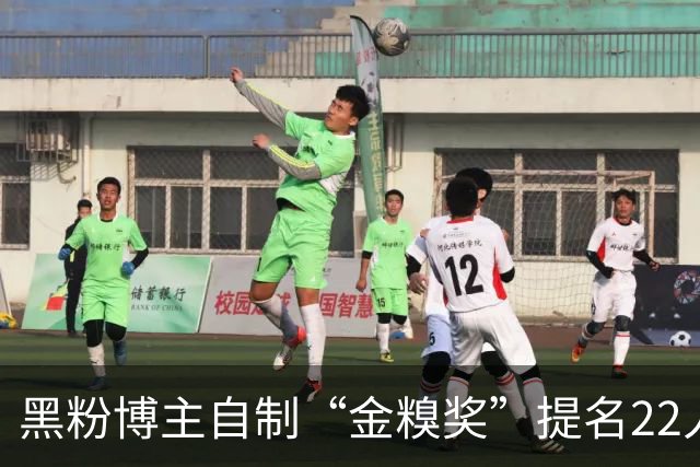 黑粉博主自制“金糗奖”提名22人：C罗、维尔茨、费兰等在列