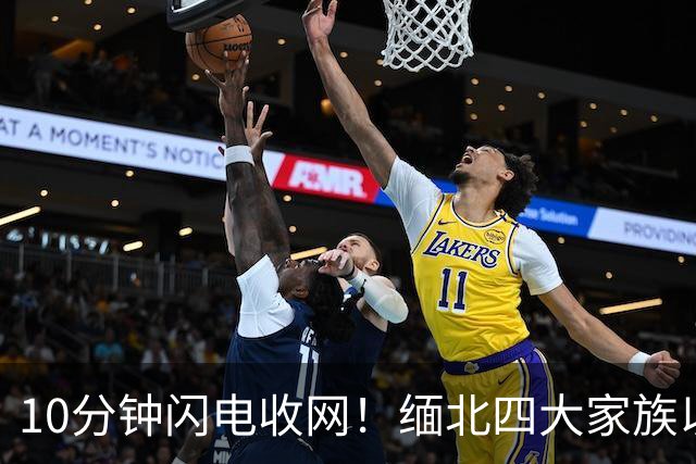 10分钟闪电收网！缅北四大家族以为来谈条件，等来的是一脚破门