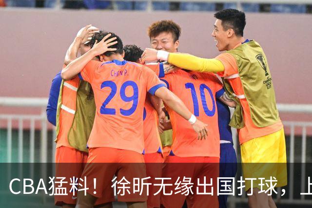 CBA猛料！徐昕无缘出国打球，上海两名大外援二选一，王哲林沈梓捷未通过体测